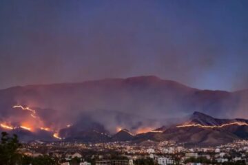 VICEMINISTRO: ALGUNOS INCENDIOS TUVIERON PROPÓSITOS GEOPOLÍTICOS
